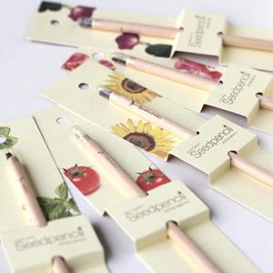 아트박스/꿈쟁이 꿈쟁이 씨앗연필 1p 식물기르기 5종