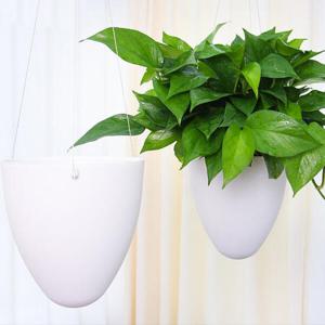 아트박스/제이라이프 심플 달걀 벽걸이 화분 키우기 세트