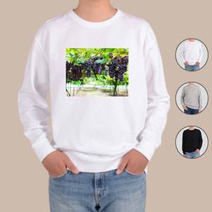 맨투맨 전색상 계절과일 포도 과일나무 GRAPE6 남자맨투맨