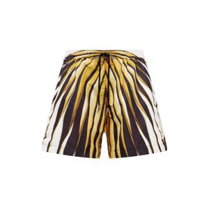 25 FW 로베르토 카발리 프린트 스윔 쇼츠 TRT00A5RM78 TP443797655