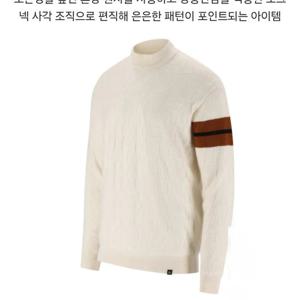 [엘르골프]남성 사각조직 목크넥 스웨터6K53401