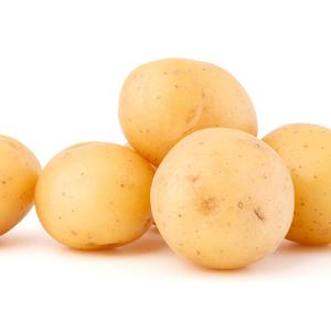 포슬포슬 감자 5kg 왕특