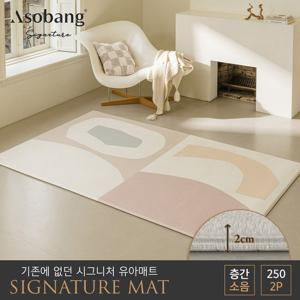 아소방 2P 시그니처 유아 놀이방매트 베로나 250(250x150x2cm)
