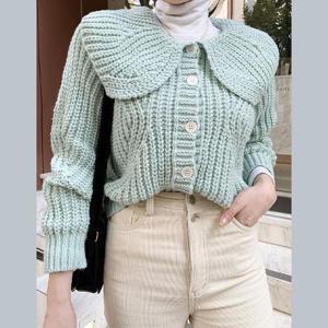 꽈배기 골지 카디건 여자 겨울 빅 카라넥 니트 가디건