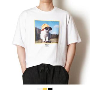 커플룩 반팔티 휴양지 휴가 편한 여름반팔 고양이사진