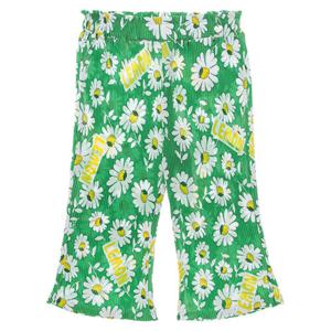 GN 레몬 꽃 PT(Q43DCP130)