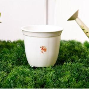 심플 모던 실내 분갈이 원형 플라스틱 화분 선택6호 고급