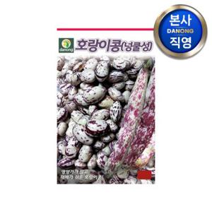 호랑이 강낭콩 (넝쿨성) 씨앗 30g . 채소 텃밭 파종 재배 씨 종자.