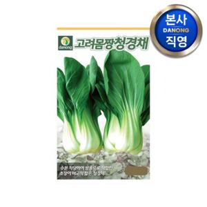 고려몸짱 청경채 씨앗 1500립 . 채소 텃밭 재배 주말 농장 파종 씨 종자.