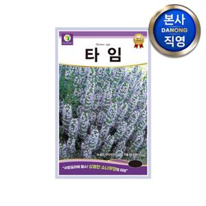 타임 허브 씨앗 1000립 . 백리향 정원 텃밭 꽃밭 식물 파종 키우기 꽃씨 종자.