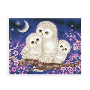 아이러브페인팅 DIY캔버스형 보석십자수 40x50cm 올빼미가족