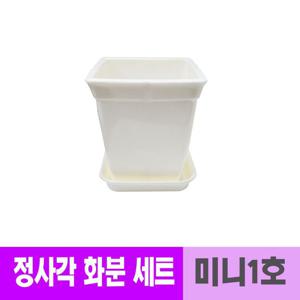 화분 웰빙 광택 정사각 백색 세트 10cm 미니1호