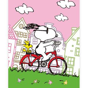 DIY 보석십자수 피너츠 스누피 캔버스형 DAILY 써니데이 40x50