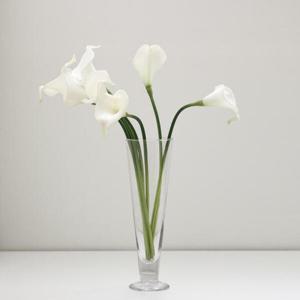 아트박스/포홈 플라워 부쉬 글라스 화병 세트 - 2type