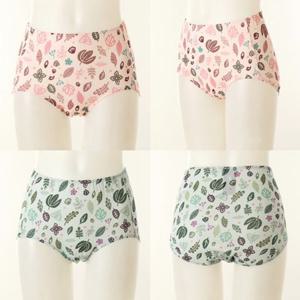 [비너스] 빅사이즈 높게 올라오는 부인군 50수 순면 맥시팬티 2종택1 VPT6747