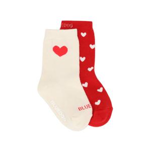 HP블루독베이비25년FW IV)크리스마스하프양말세트45C1481001