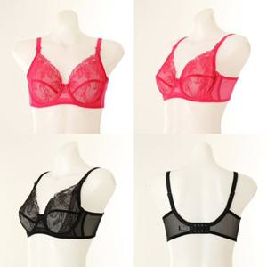 [비너스] 프리미엄 블랙라벨 패치 케미컬 홑겹 브라BC컵 2종택1 [VBRB745B_C]