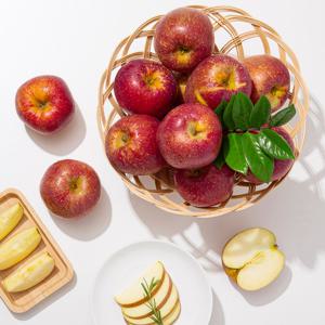 [미식한가] 햇사과 경북직송 감홍사과 (가정용) 2kg 10-13과