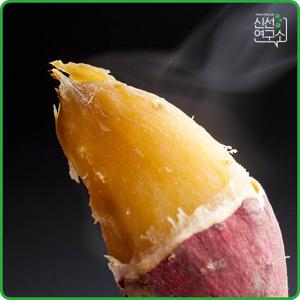 [신선연구소] 해남 꿀 밤고구마 3kg 특상급(100-300g)