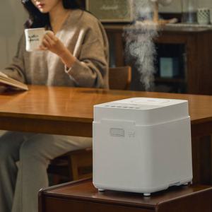 주코 스텐 포그니 신생아 가열식 가습기 4L ZH-LG901G -