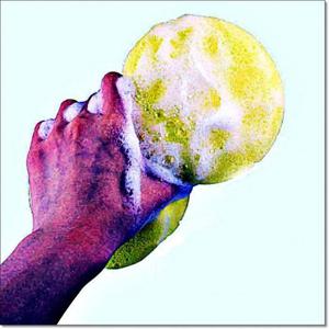 시크릿 잘 닦이는 세차 스폰지 세차용품 차량스펀지