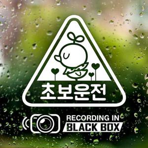 초보운전 BLACK BOX 세모삐약이 반사시트지 초보운전 자동차스티커