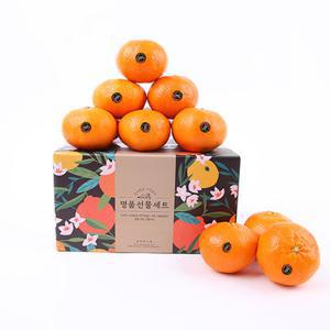 제주 고당도 블랙라벨 레드향 중과 2kg 8-11과 벌크