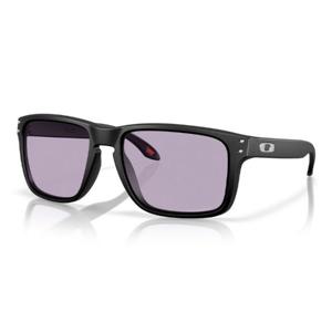 ZQC 0OO9487F0361 오클리 홀브룩 XXL 아시안핏 프리즘 슬레이트