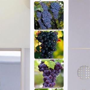 아트박스/꾸밈 nx690-멀티아크릴액자_포도가보라보라(4단소형)