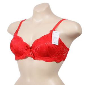 레이스 고급 풀컵 몰드 D컵 브라