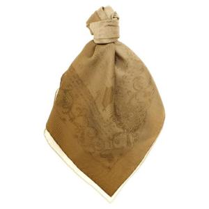 FERRAGAMO Palazzo scarf 786884TAUPEIVORY