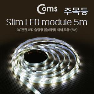 Coms LED 슬림형중 띠형 DC전원 주목등 LEDWhite 램프 전구 전등 LED전구 삼파장전구