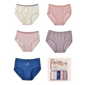 (동화)로맨틱 무드 여성 맥시팬티 5매입 GWM