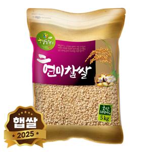 2025년 햅쌀 국산 현미찹쌀 찰현미 5kg