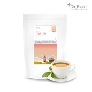 연잎 삼각티백 100T 허브차 허브티