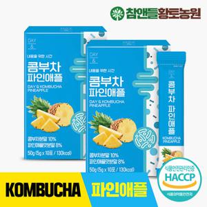 참앤들황토농원 데이앤 콤부차 파인애플 10개입 2박스