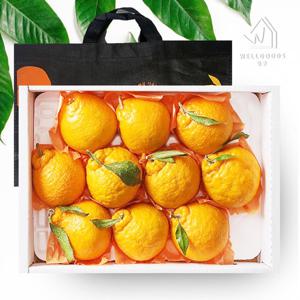 [웰굿]제주직송 한라봉 선물세트 2.5kg(13-20과,소과,부직포포함