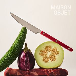 [메종오브제] 시에르 파르베 커트러리 디너나이프 1P