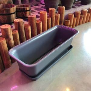 베란다 텃밭용 플라스틱 화분-화초박스 뷰티 60cm