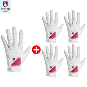 건조기 사은품 스카치 천연양피 골프장갑 남성 5P 왼손 착용