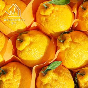 [웰굿] 제주직송 새콤달콤한 한라봉 1kg(5-6과내외,중과)