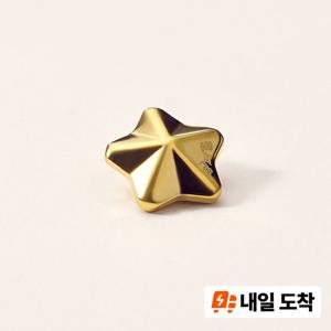 수앤진골드 순금 별 24K 1g