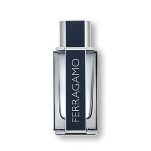 페라가모 뿌르 옴므 EDT 100ml