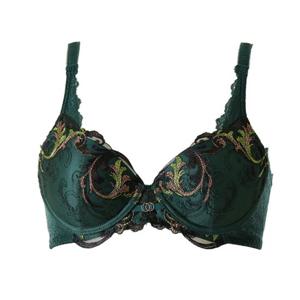 [비너스] 프리미엄 블랙라벨 그린 메탈릭 자수 브라C컵 [VBRB474C]