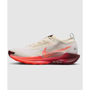 나이키 페가수스 트레일 5 GORE TEX DD4 FQ0908 104