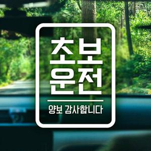 초보운전 양보감사합니다 반사시트지 자동차스티커