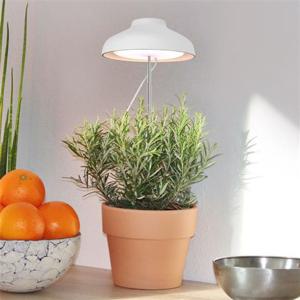 우산 LED 식물등 조명 성장등 생장등 (KAP-022) 식물조명 식물기르기 무드등