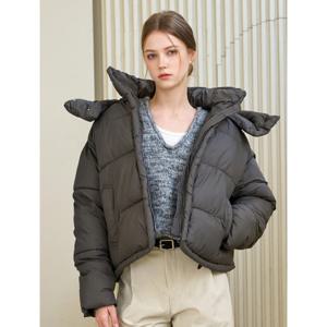 [GGPX]데일리 심플 하이넥 후드 패딩 점퍼 (GPDJJ034D)