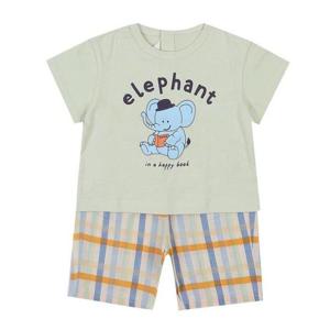 해피랜드 HC11 스위 티포인트상하 HZ321107