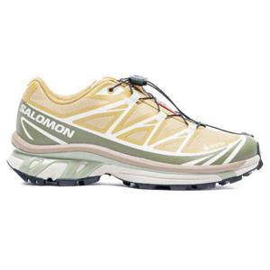 SALOMON 살로몬 XT-6 GTX (AntelopeIciclePortabella)(L47581000) (XT-6 GTX)